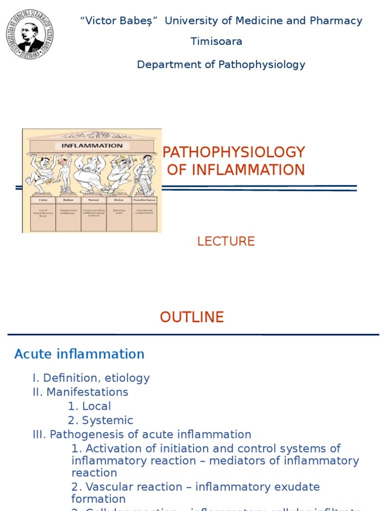Pathophysiology of Inflammation  PDF  Inflammation  Macrophage