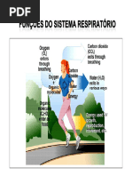 Mecanica Da Ventilacao Pulmonar 2010