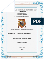 Informe Fsisca 1 Termodinamica