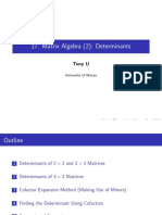 Matrix Algebra (2) : Determinants: Tony U
