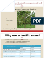 Scientific Classification