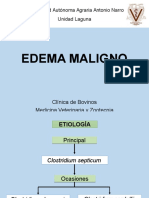 Edema Maligno