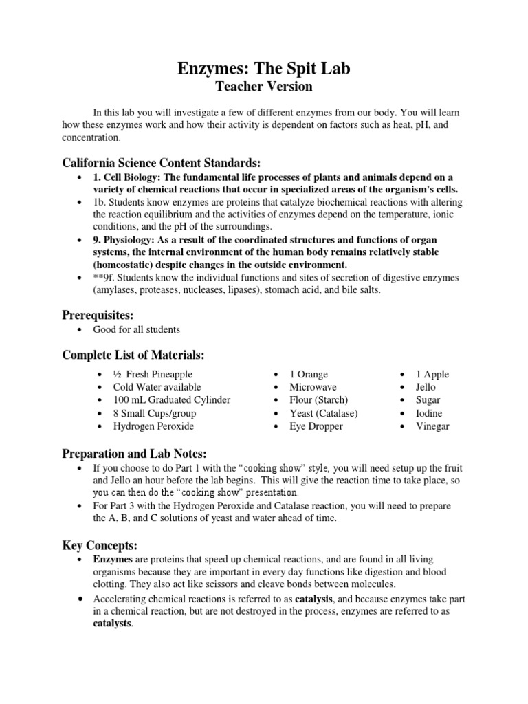 Enzymes The Spit Lab Teacher Version PDF Catalase Enzyme