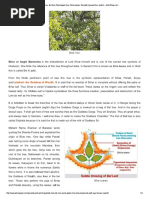 Bael tree- Bel tree-Wood...Jyotish .pdf