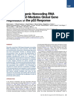 A Large Intergenic Noncoding RNA