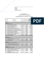 C1 Grafic Executie