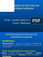 01 Introdução Anatomia