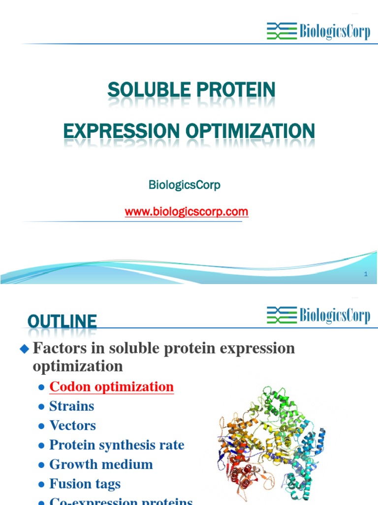 Soluble Protein Expression Optimization PDF Gene Expression Proteins