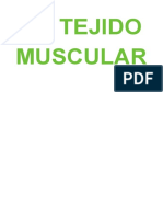 Tejido Muscular Tema 15