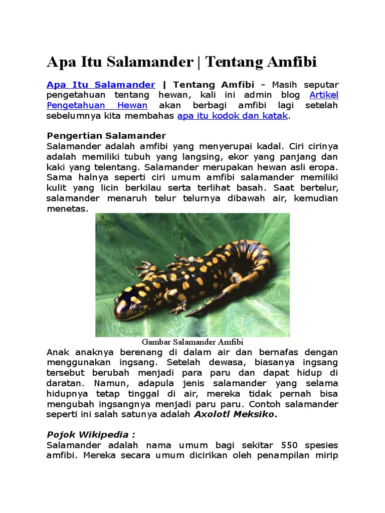 48 Gambar Hewan Air Beserta Ciri Cirinya Gratis Terbaik