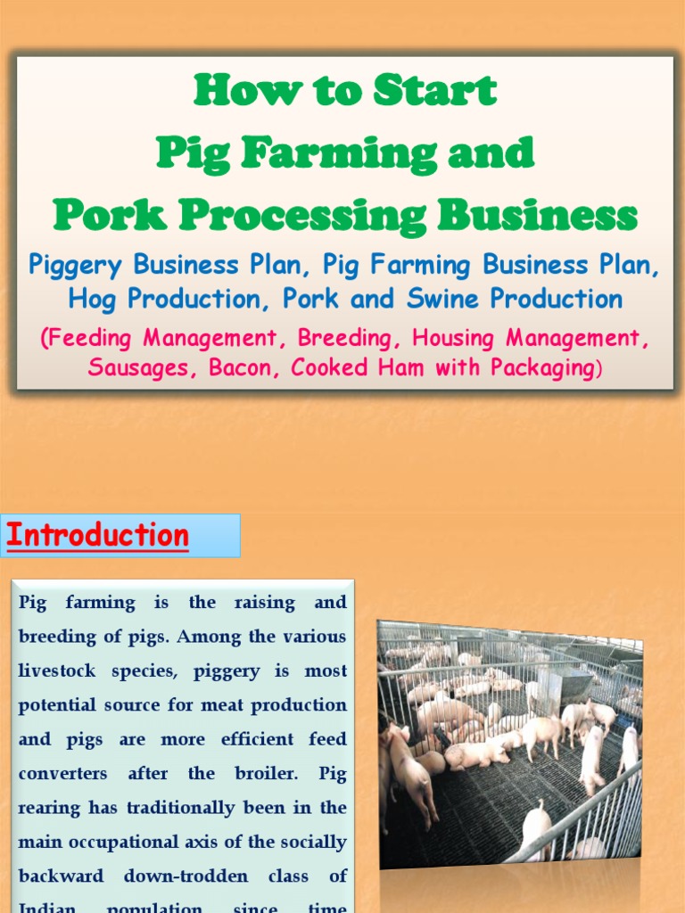 Facts about pigs image