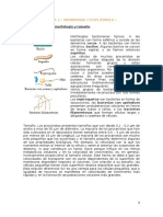 TEMA 2. Microbiología