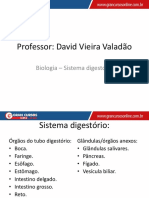 Aula 1 - Sistema Digestório