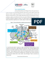 Lectura Camino de La Lectura A Través Del Cerebro - PDF Semana 2m2 PDF