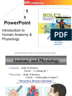 Powerpoint: Introduction To Human Anatomy & Physiology