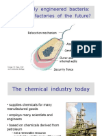 Genetically Engineered Bacteria: Chemical Factories of The Future?