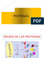 Secion de Cales Proteínas