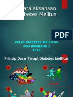 Olahraga Diabetes Melitus 