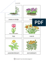 Woordkaarten Thema LENTE (Dagmar Stam) PDF