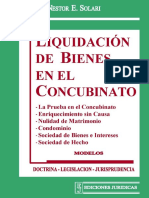 LIQUIDACION DE BIENES EN EL CONCUBINATO - NESTOR SOLARI.pdf