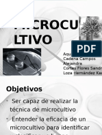 Microcultivo Exposicion