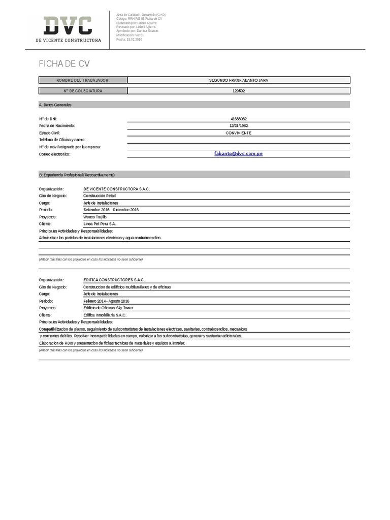 Curriculum vitae in excel format image