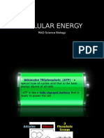 01 - Atp - Cellular Energy-Abms