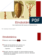 Etnobotánica Cacao