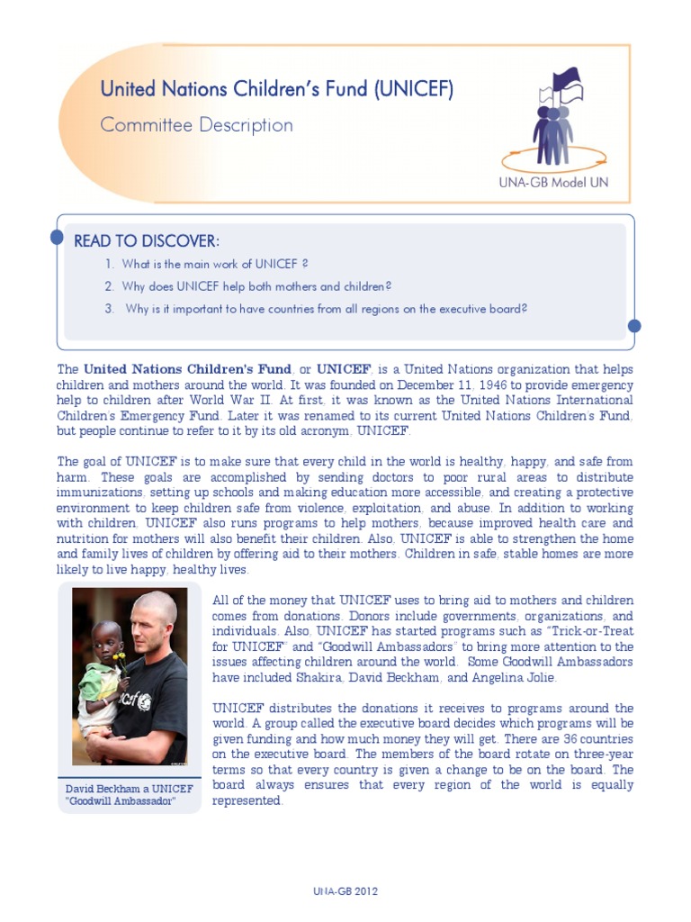 UNICEF's Global Mission Explained | PDF