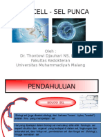 Stem Cell - Sel Punca Presentasi