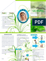 Triptico La Munia