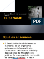 El Sename