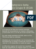 Estreptococo Beta Hemolítico Grupo B (EGB)