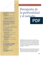 T_10_Profundidad_Tamaño_Goldstein_8_ed.pdf