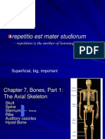 ANATOMI - Chapter7AxialSkeletonMarieb