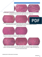 Diseases_of_the_Endocrine_Syst.pdf