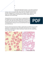 CH 17 2 CaseStudy With Worksheet