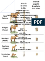 ArciniegaAcosta Andrés M16S1 ActividadEvolucionDarwinWallace
