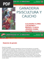 Ganaderia y Comercio 
