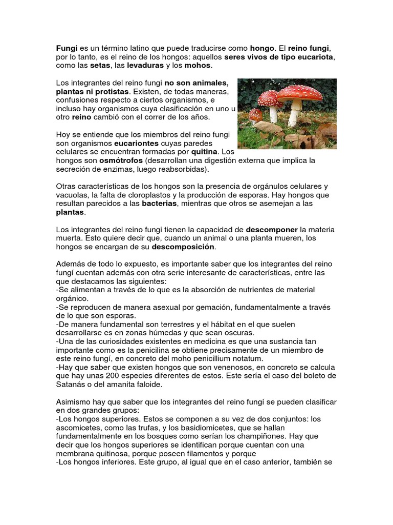 Fungi Es Un Término Latino Que Puede Traducirse Como Hongo | PDF | Hongo |  Plantas