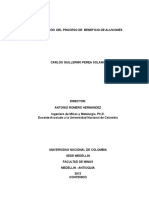 Optimización Del Proceso de Beneficio de Aluviones Tdg