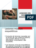 Lesiones Del Sme