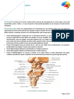 Resumen Neuro I PDF