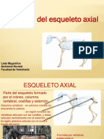 Axial PDF