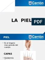 LA PIEL 