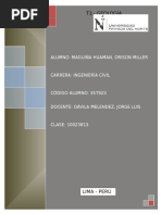 GEOLOGÍA-MAGUIÑA 26-n.docx