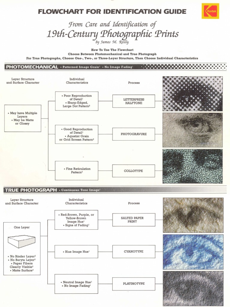KODAK Flowchart For Identification Guide PDF