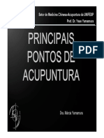 Aula Pontos Gerais Acupuntura FINALALUNOS PDF
