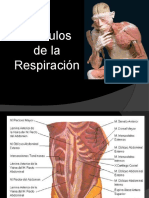 II3. Musculos de la respiracion.pptx