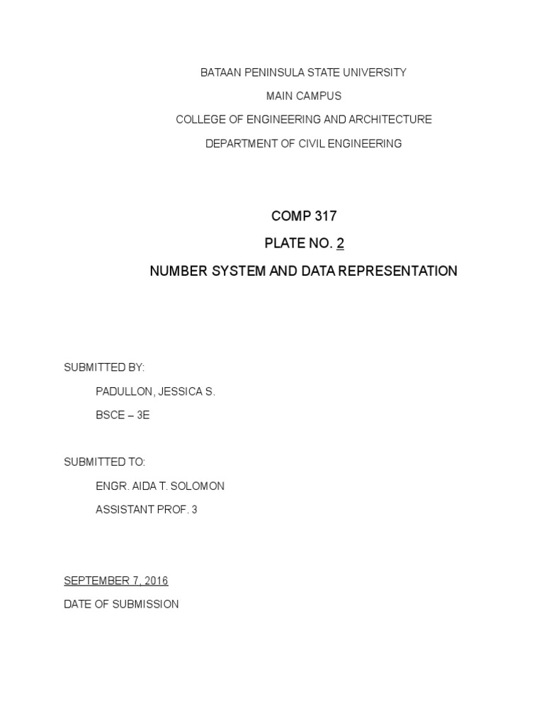 Number System and Data Representation | PDF